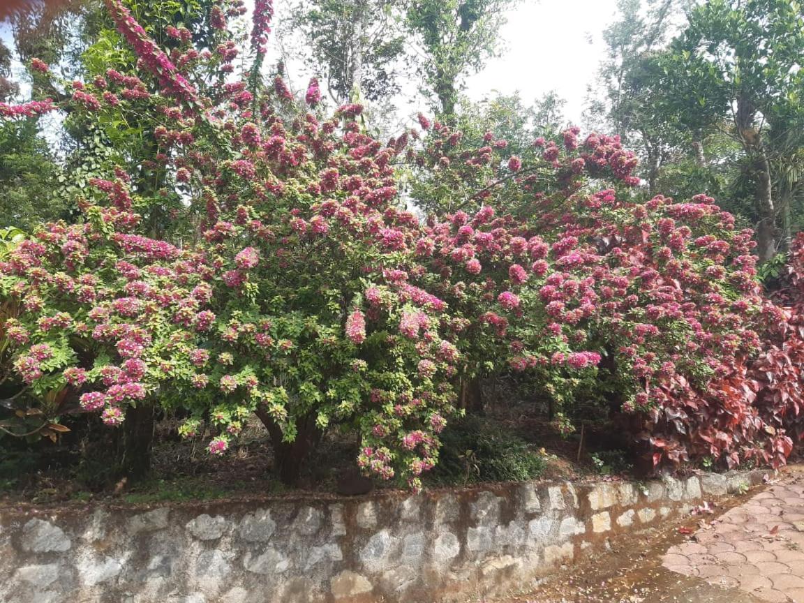 Athena Homestay Somvārpet المظهر الخارجي الصورة