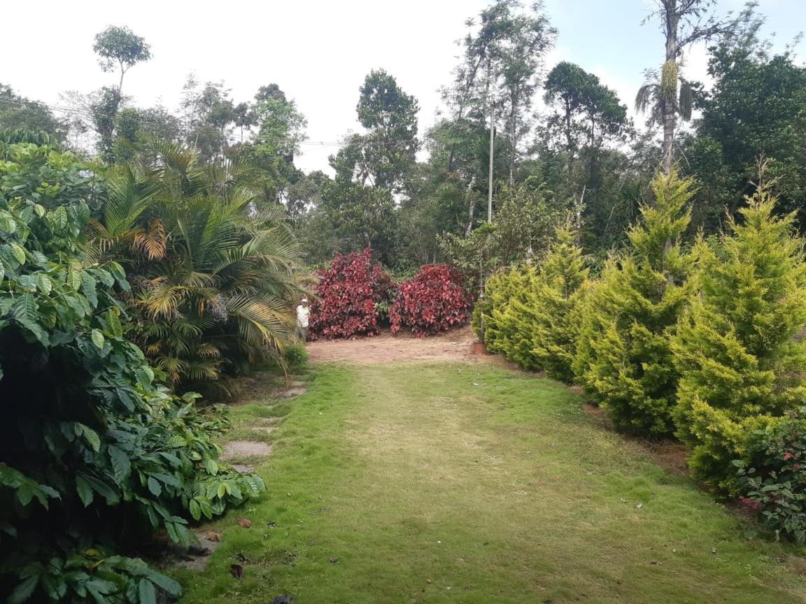 Athena Homestay Somvārpet المظهر الخارجي الصورة