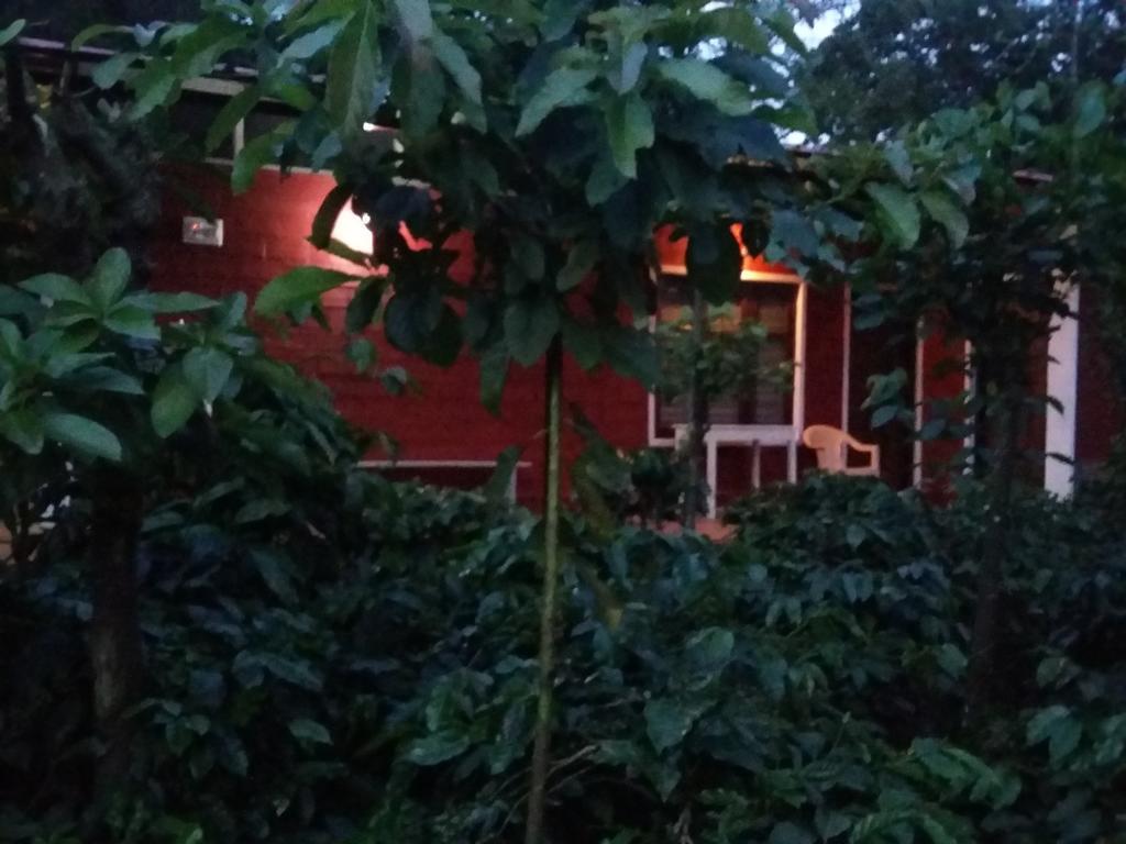 Athena Homestay Somvārpet المظهر الخارجي الصورة