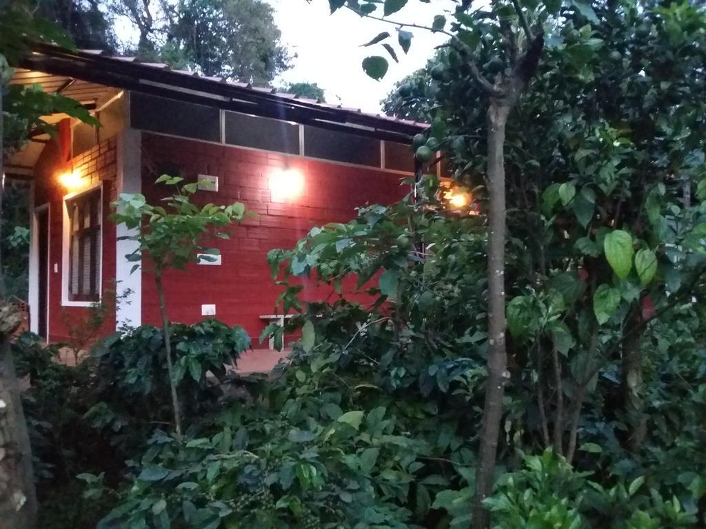 Athena Homestay Somvārpet المظهر الخارجي الصورة