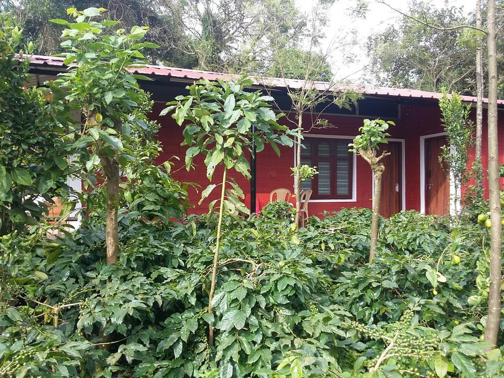 Athena Homestay Somvārpet المظهر الخارجي الصورة